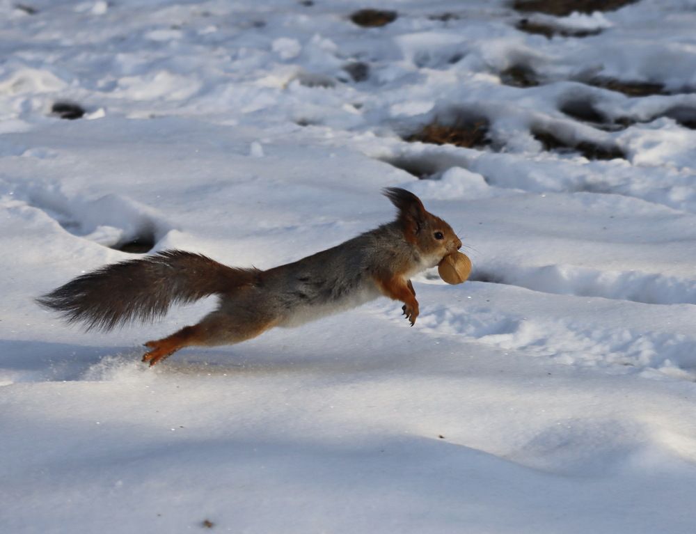Photograph by Сергей Маслов