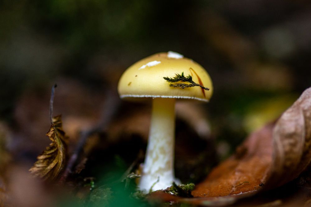 Photograph by Максим Захаров