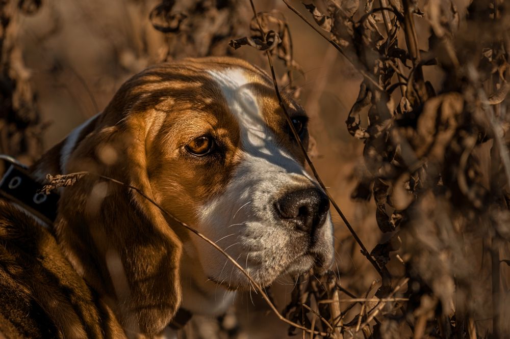 Photograph by Юлия Куликова