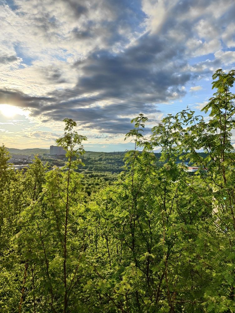 Photo #12029274