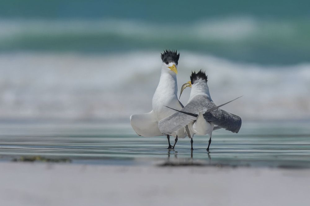 Photograph by Dennis Vagner