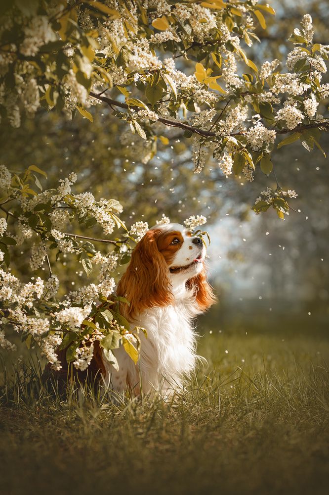 Photograph by Ольга Легенькая