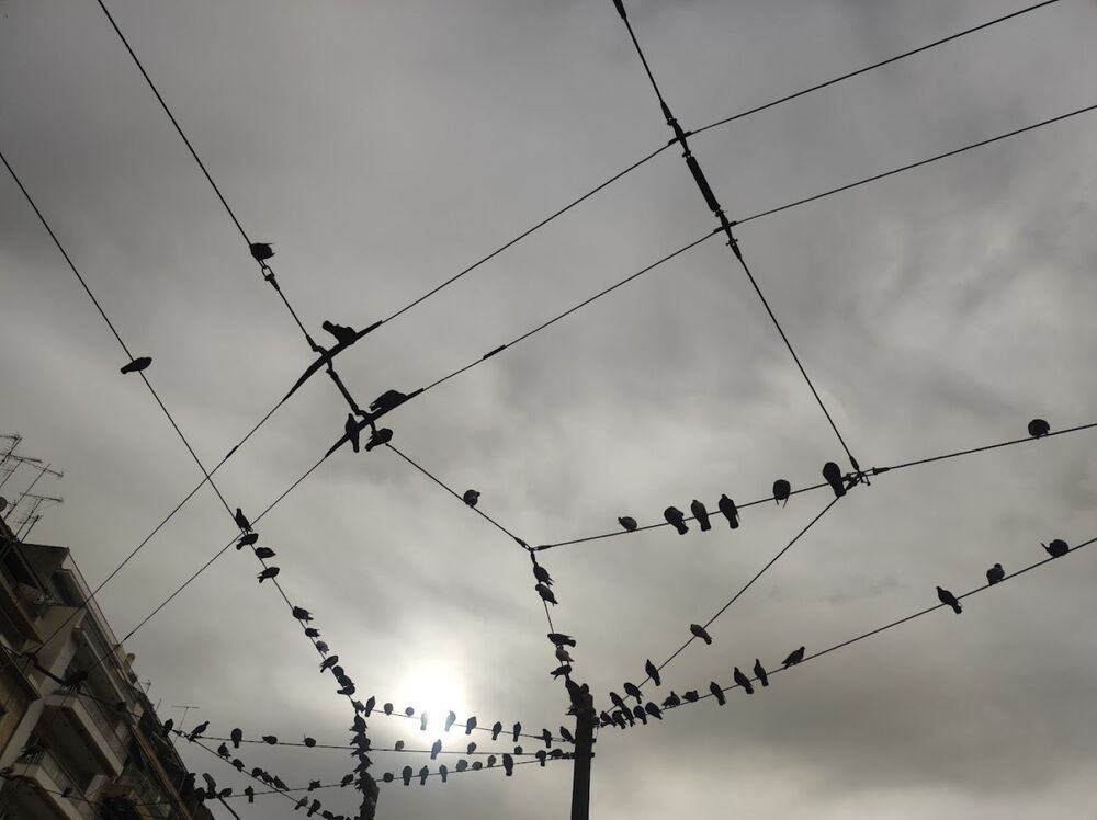 Photograph by Katrina Vassiliou