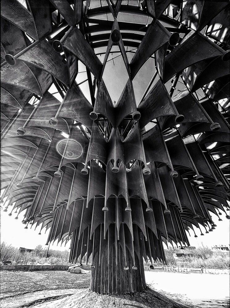 Photograph by Iuliia Akhulkova