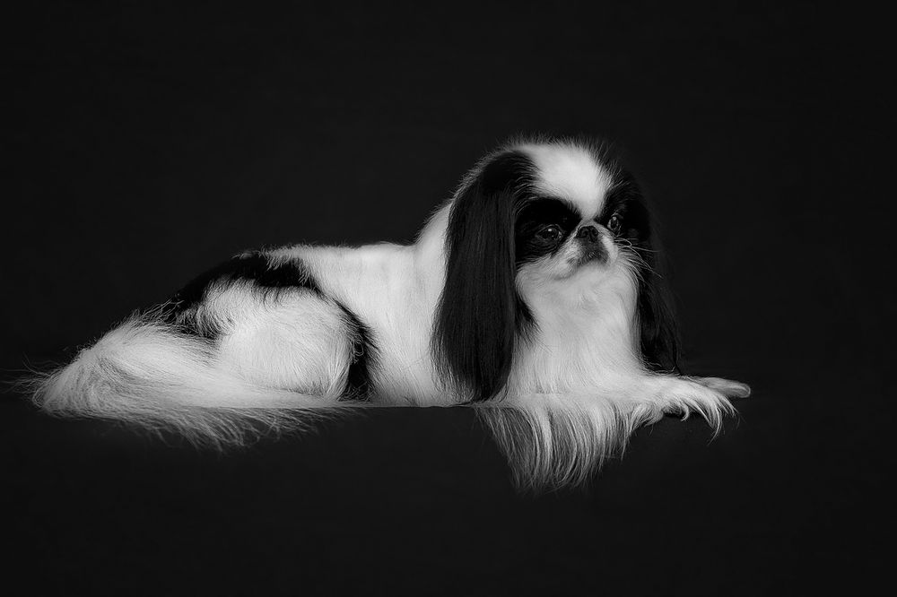 Photograph by СВЕТЛАНА ГРАЧЕВА