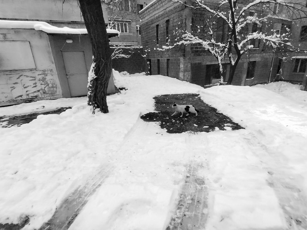 Photograph by Марина Рафаелян