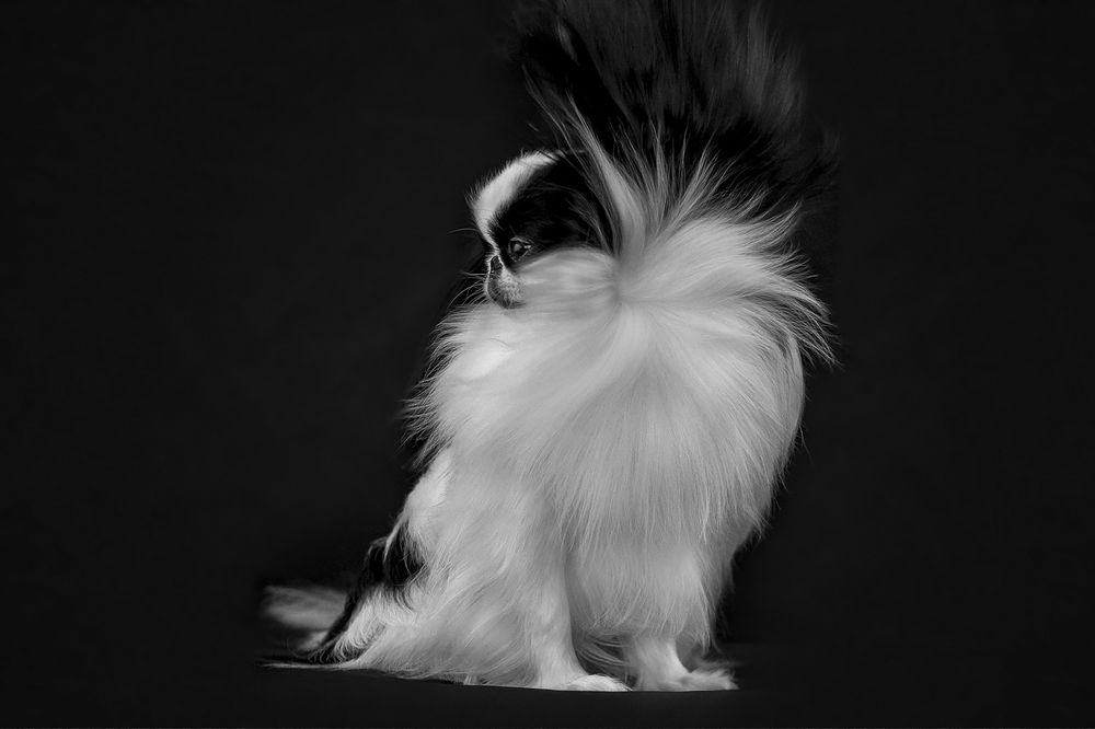 Photograph by СВЕТЛАНА ГРАЧЕВА