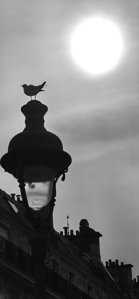 Фотография автора Евгения Харитонова