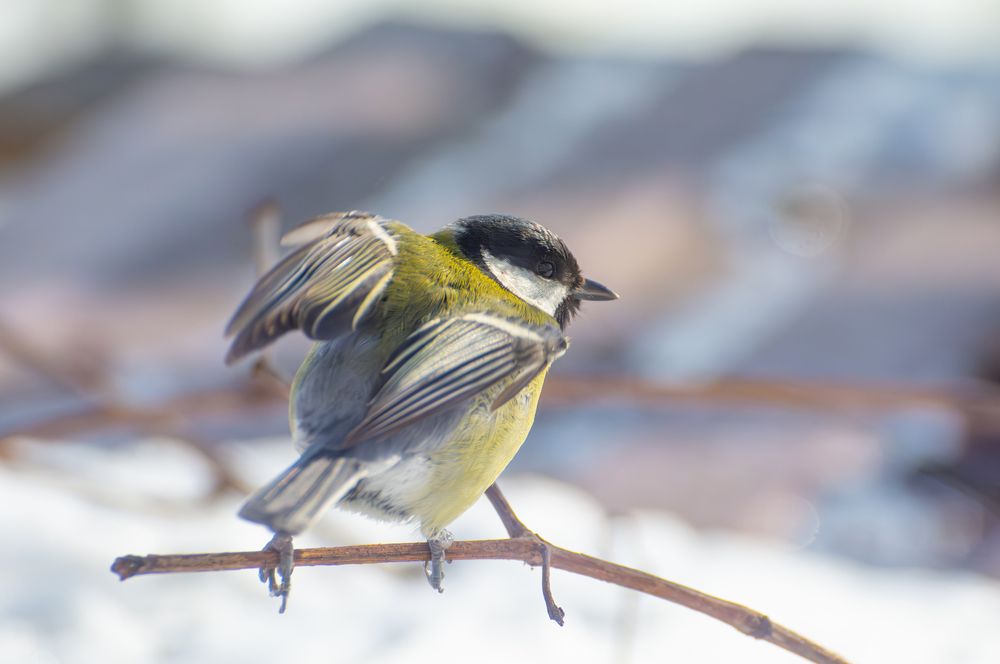 Photograph by Кристина Дегтярёва