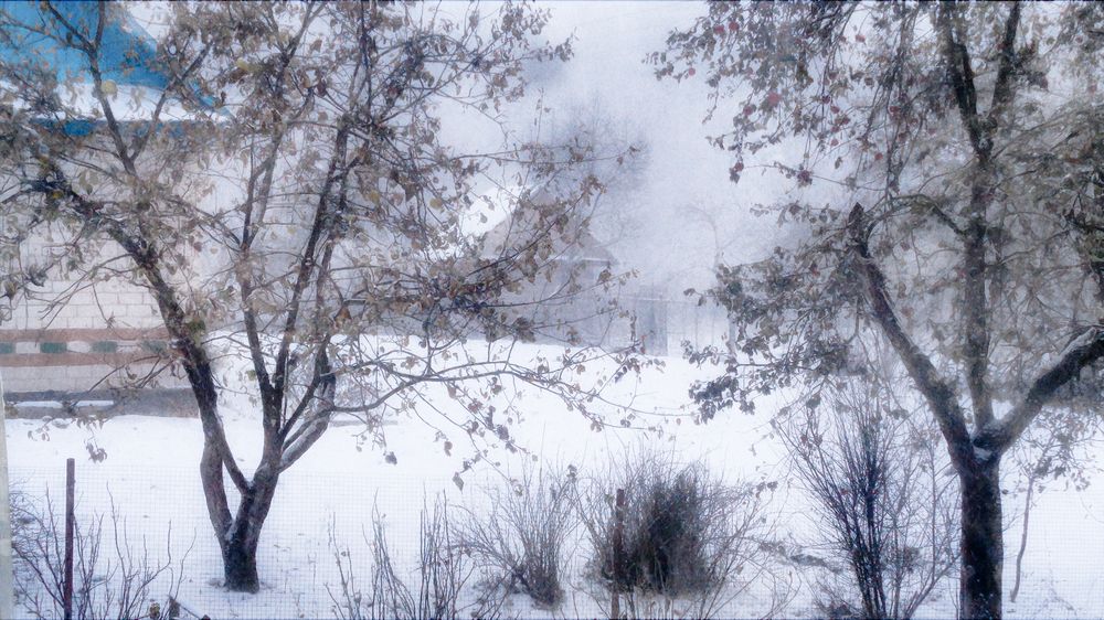 Photograph by Владимир Полонский
