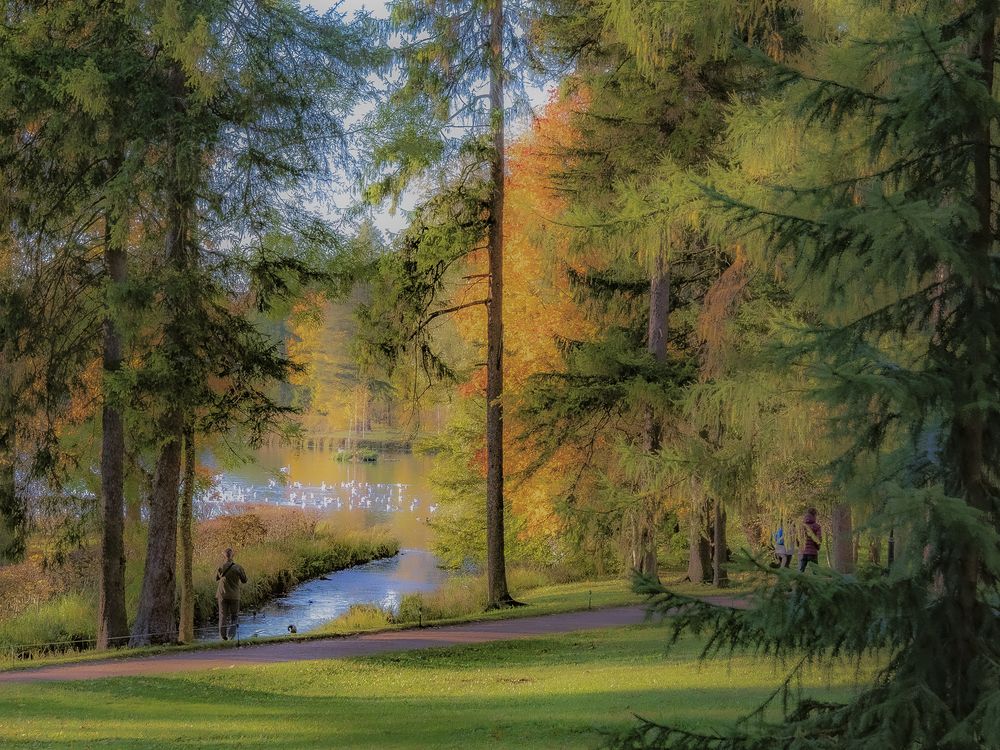 Photograph by Владимир Шутов