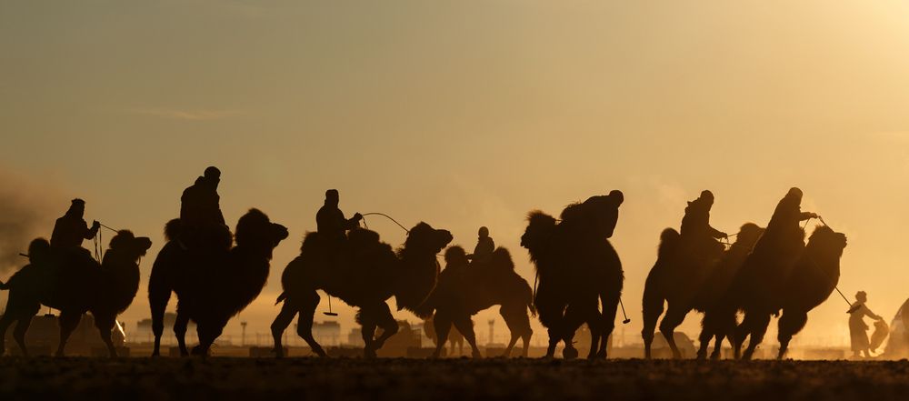 Photograph by ganzorig miimaa