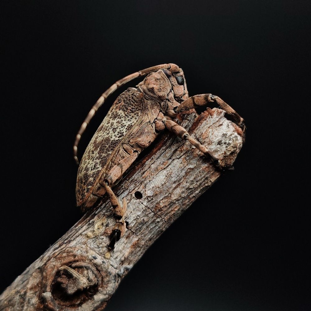 Photograph by Noor Azhar Abd Rasid