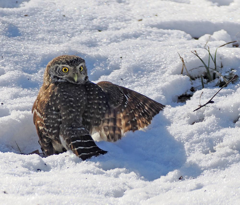 Photograph by Татьяна ТУРСКАЯ