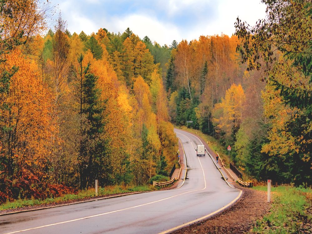 Photograph by Владимир Шутов