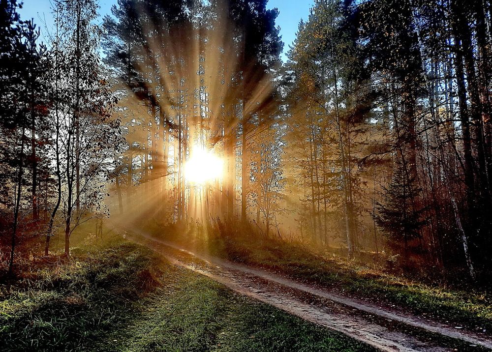 Photograph by Александр Лазебник