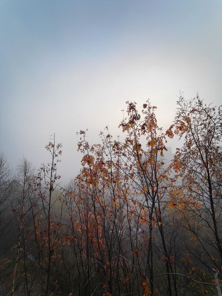 Photo #12029515