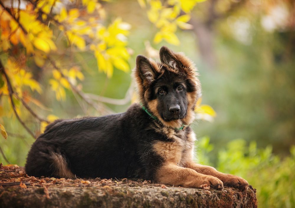 Photograph by Юлия Григорьева