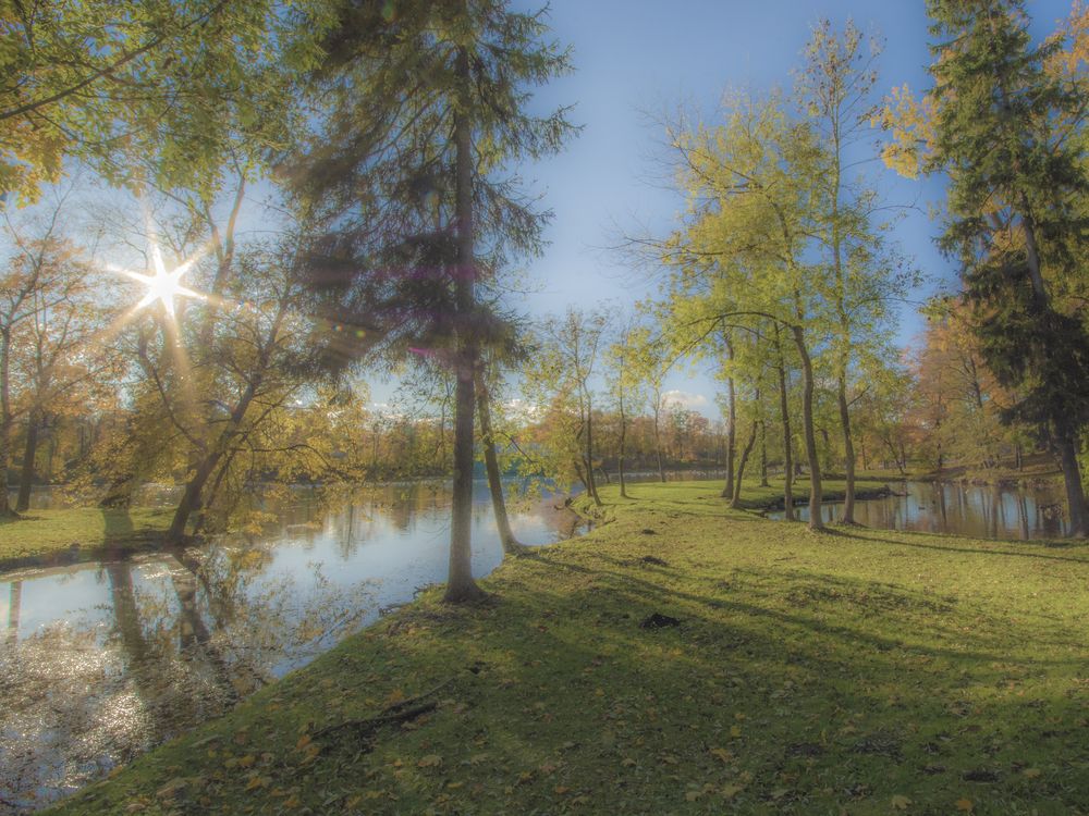 Photograph by Владимир Шутов