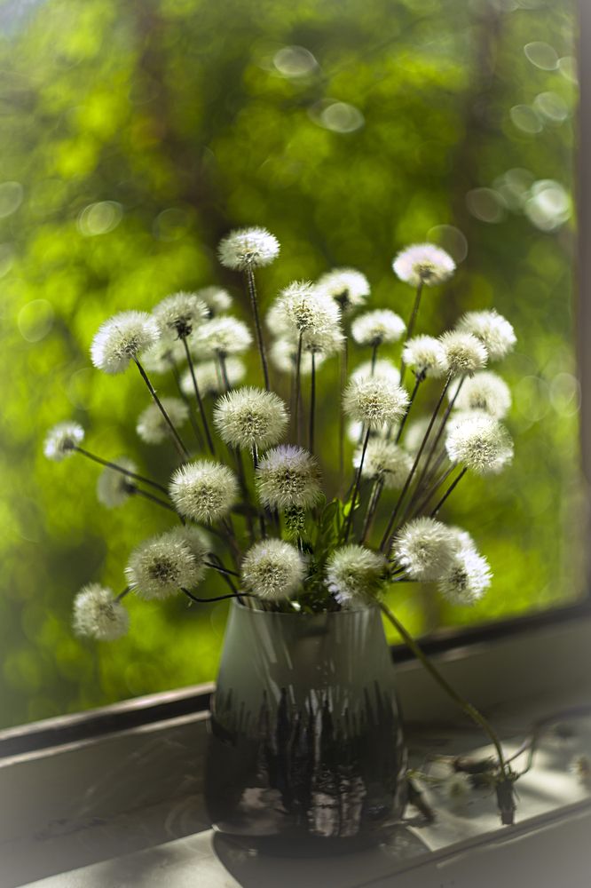 Фотография автора Елена Разина