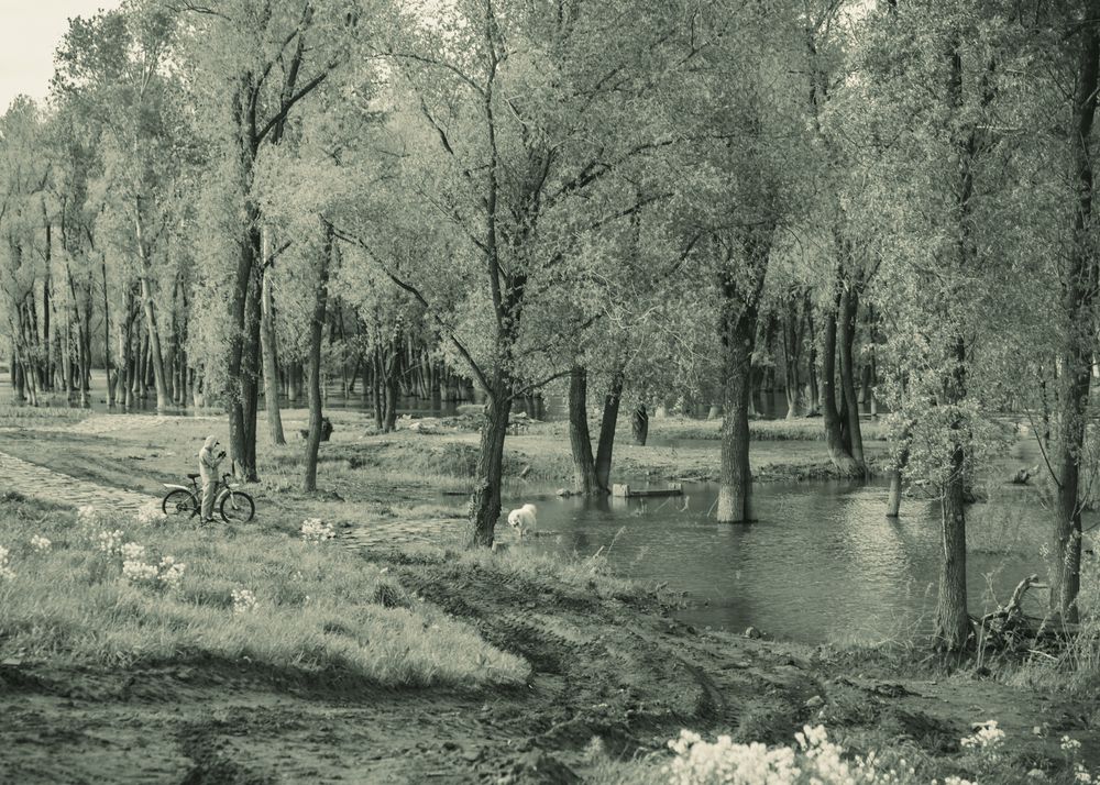 Photograph by Андрей Чернышов