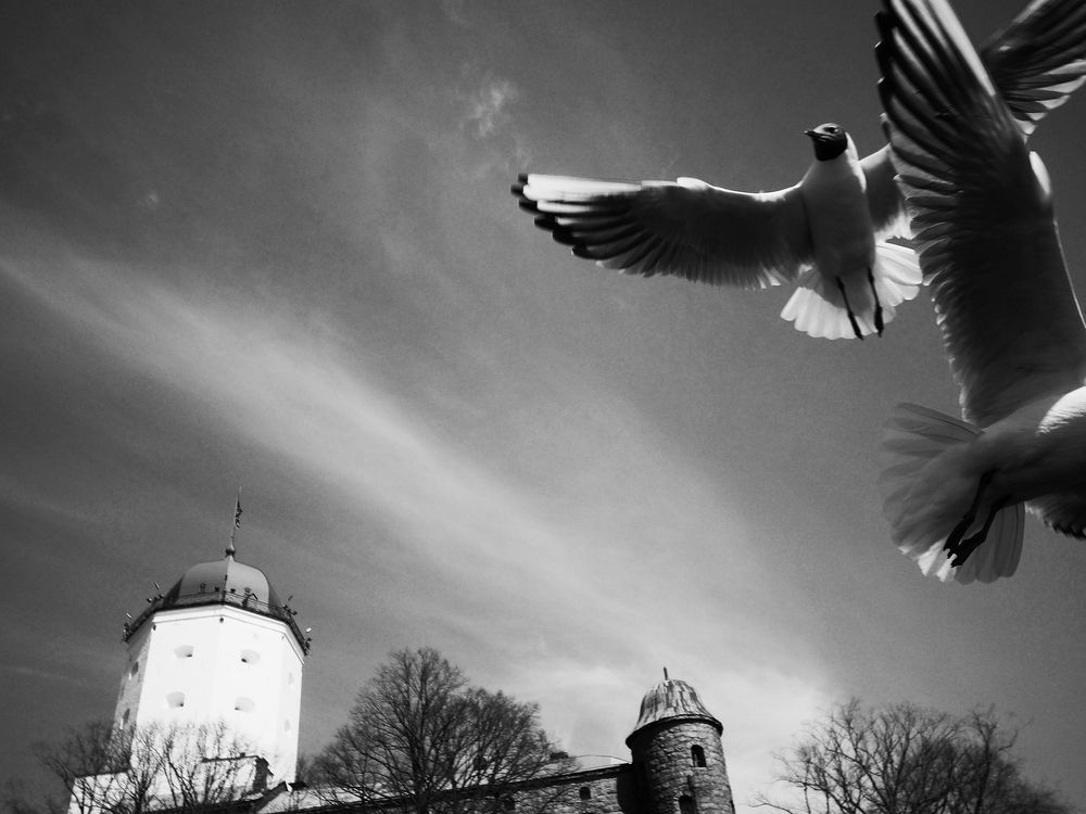 Photograph by Алексей Серпов