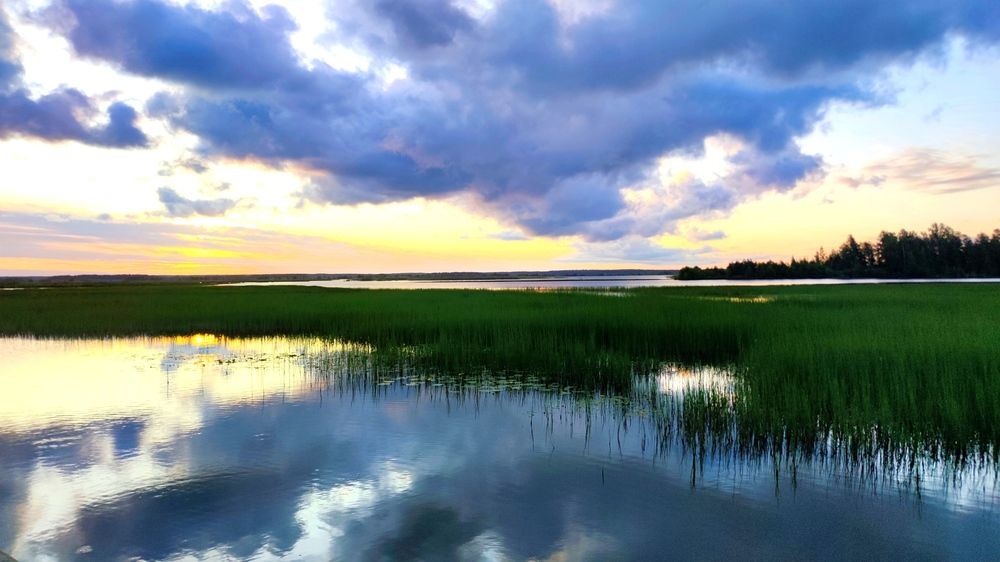 Фотография автора Ekaterina Sapezhinskaya