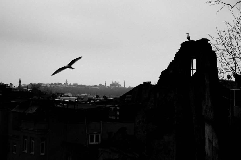 Фотография автора Şentürk Selman