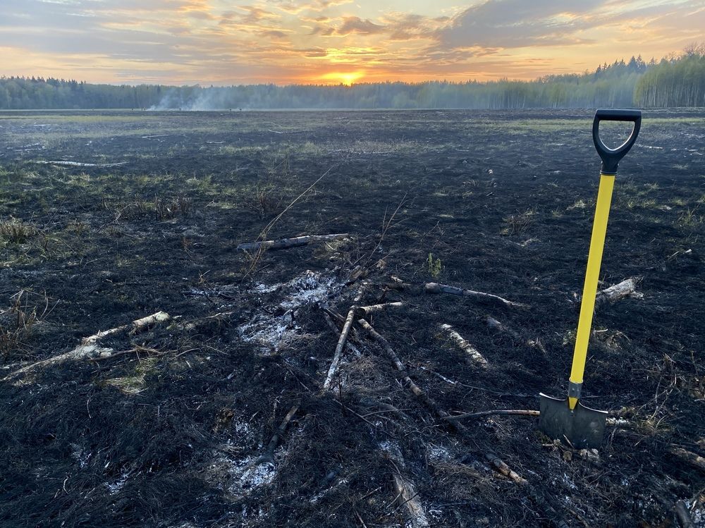 Photograph by Olga Bokareva