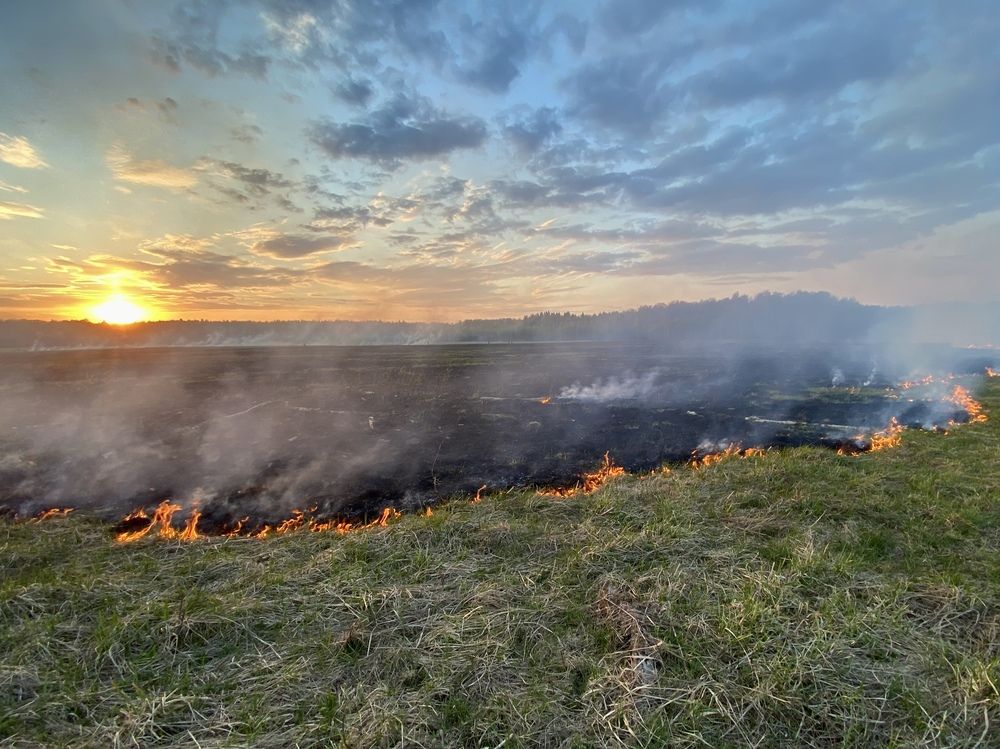 Photograph by Olga Bokareva