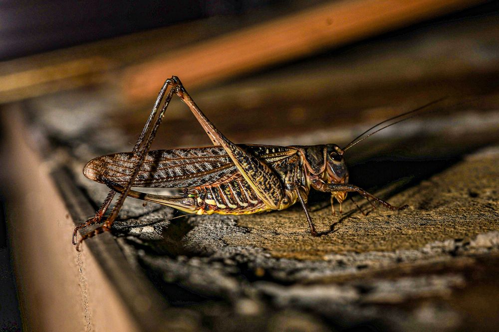 Photograph by Владимир Роля