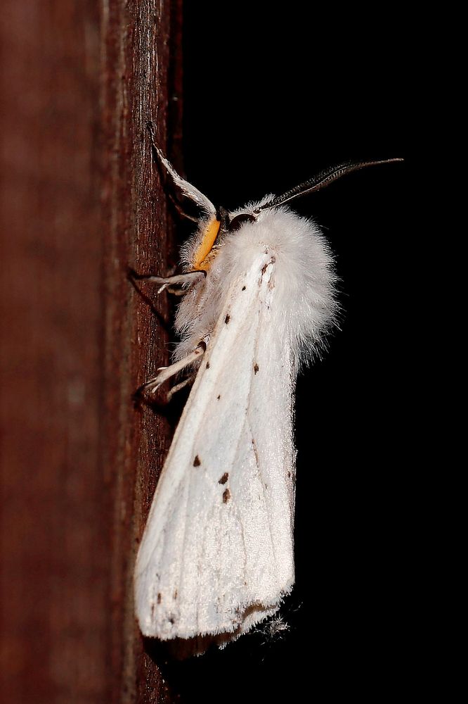 Photograph by Владимир Роля