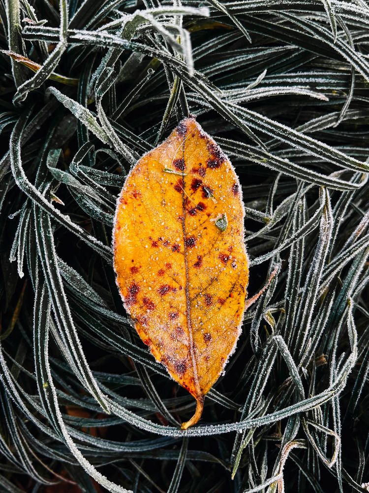 Фотография автора Анна