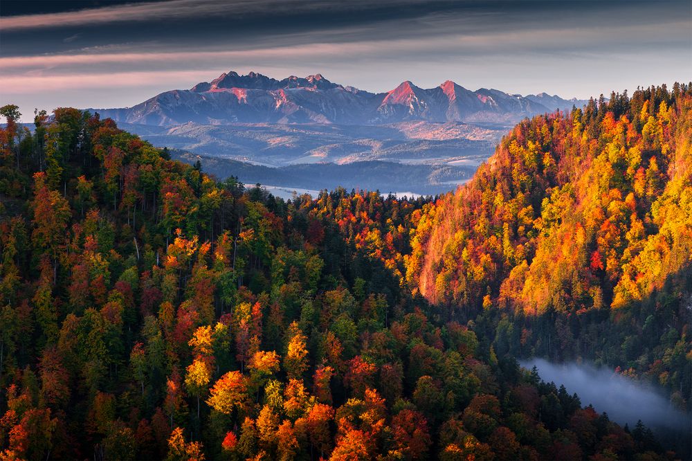 Pieniny park