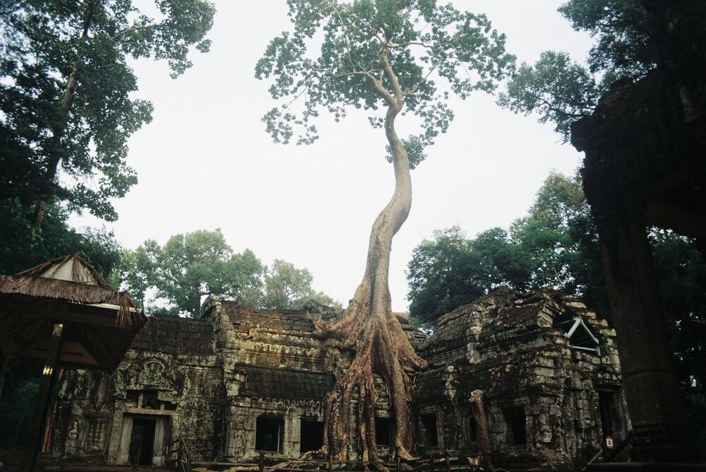 Ta Prohm