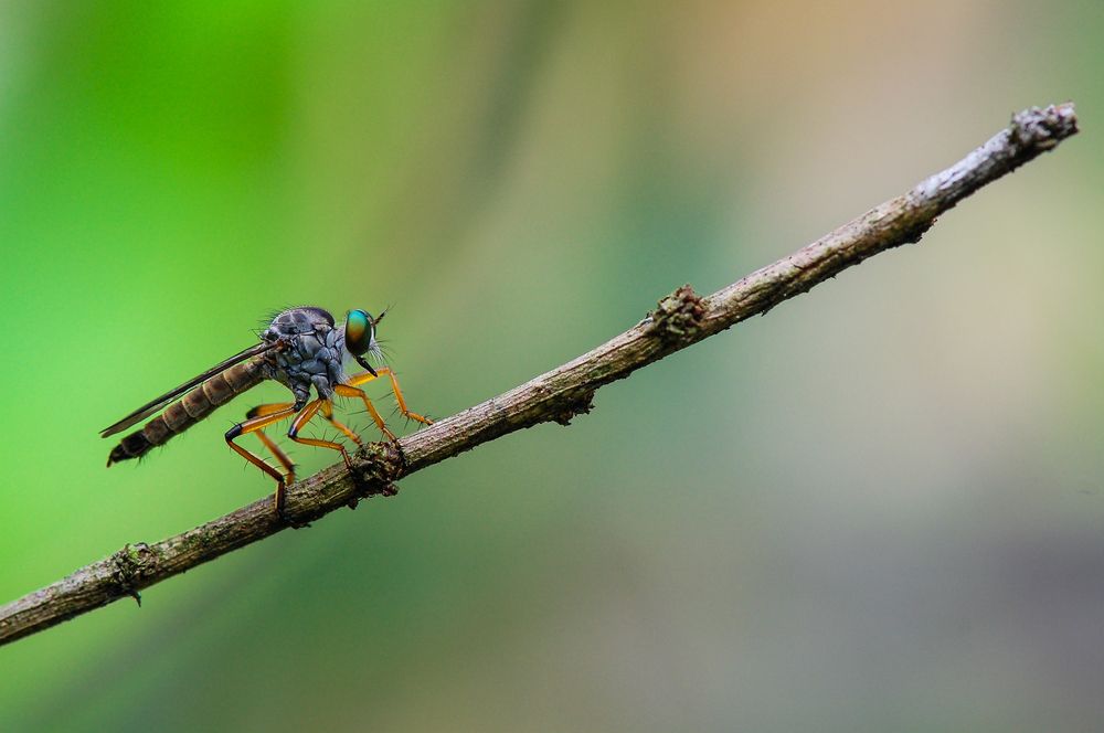 Photograph by shabu joseph