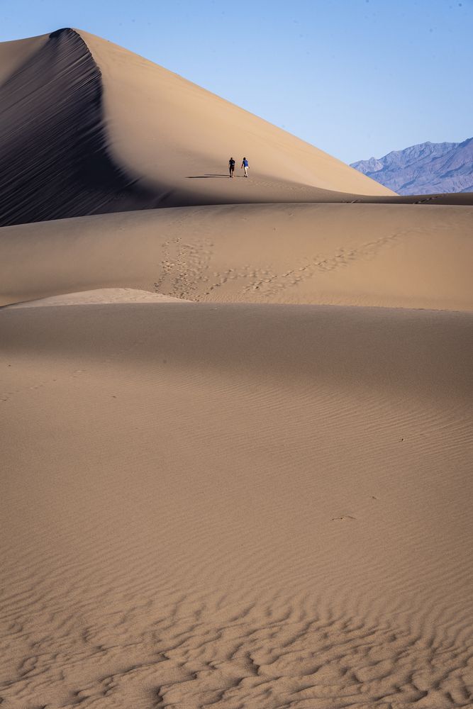 Фотография автора Jose Carlos Torres Goncalves Jr