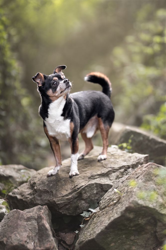 Photograph by Leticia Hernandez