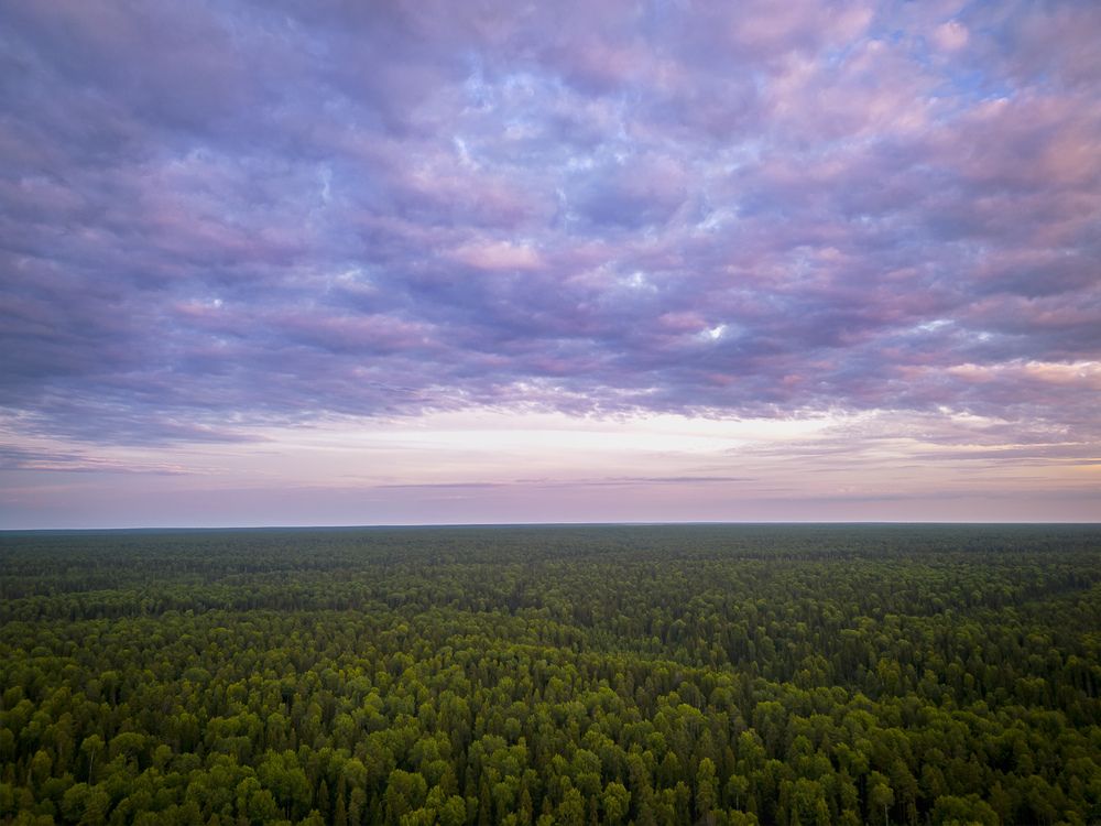 Photograph by Сильва Татьяна