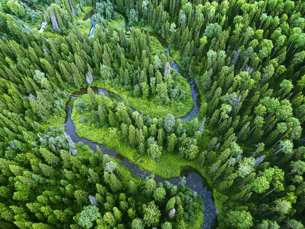 Photograph by Сильва Татьяна