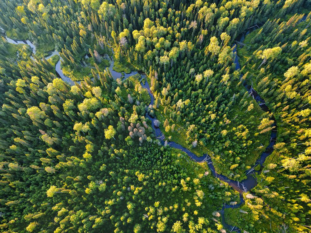 Photograph by Сильва Татьяна