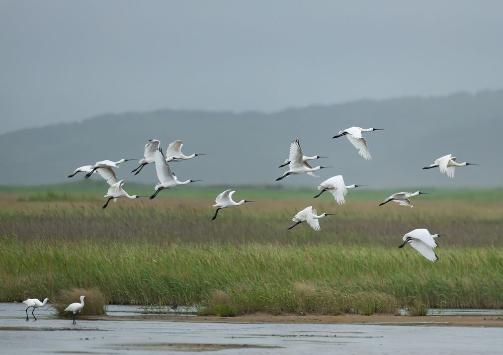 Photograph by Сергей Л