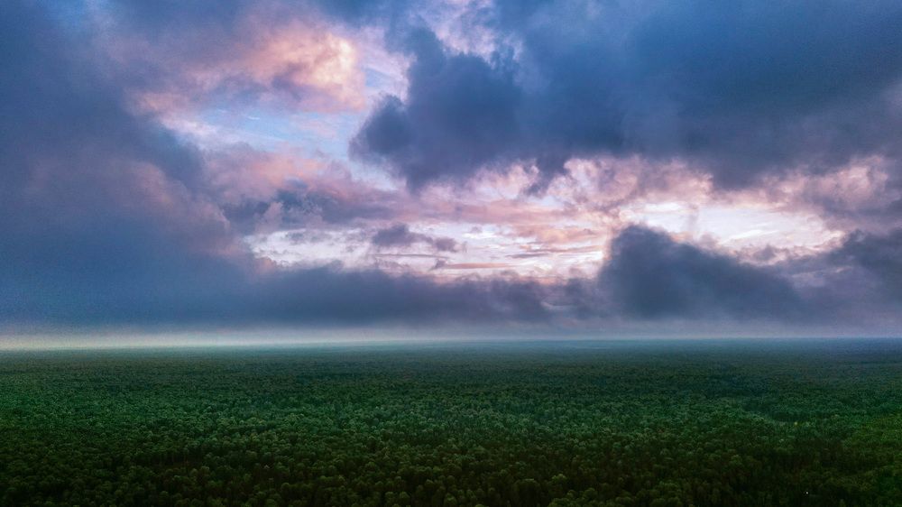 Photograph by Сильва Татьяна