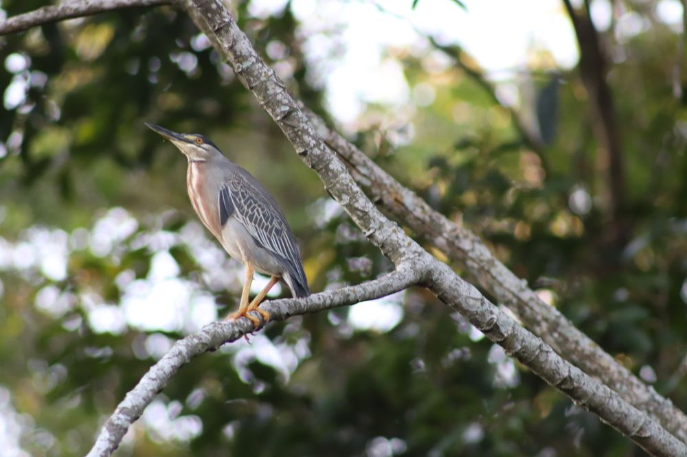 Photograph by Juliana