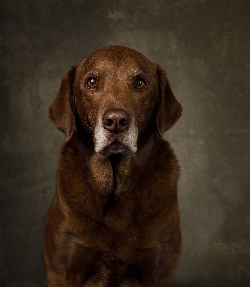 Фотография автора CARLOS way