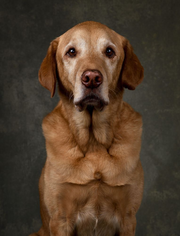 Фотография автора CARLOS way