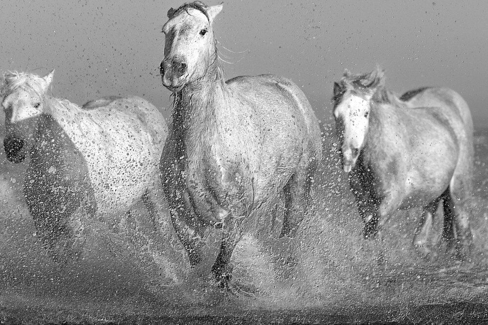 Photograph by Maria Shutova Shutova