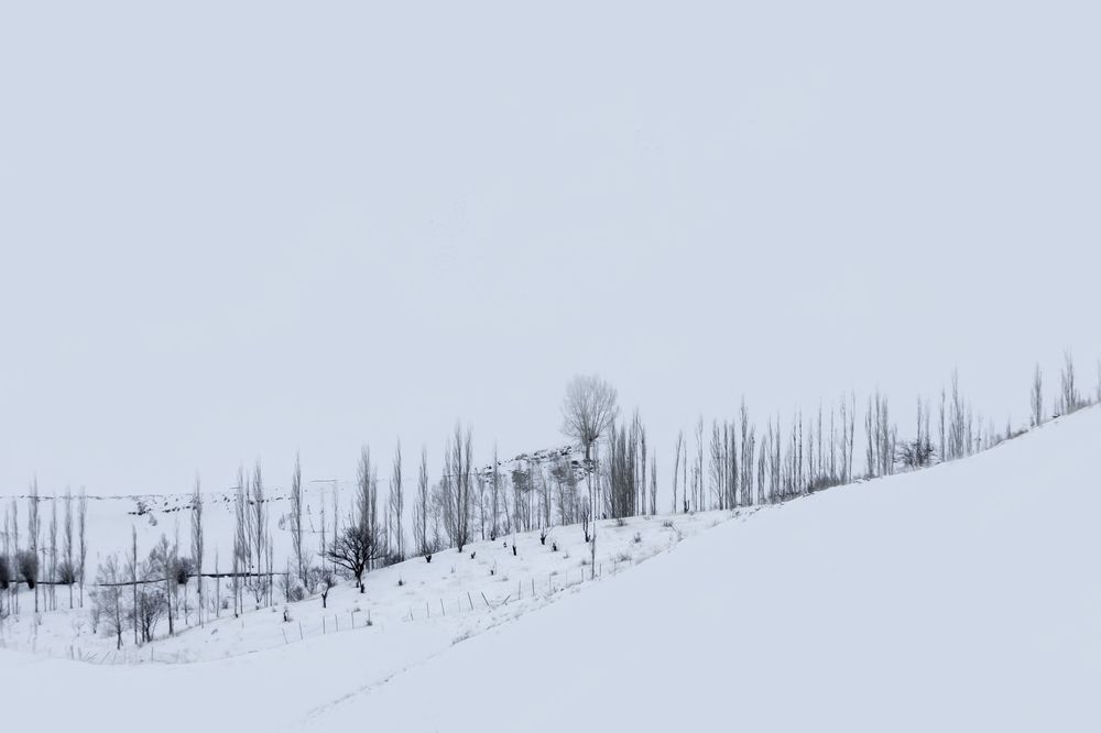 Photograph by Alireza Allamehzadeh