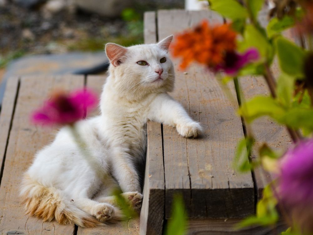 Photograph by Анастасия Гурова