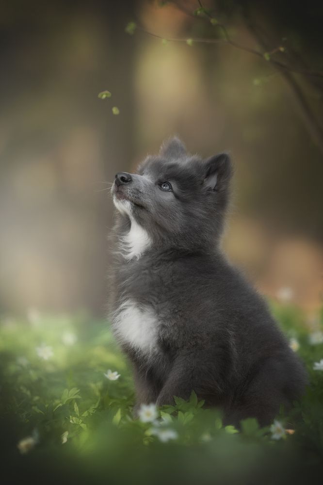 Photograph by Людмила Богуш